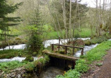 Une balade le long du ruisseau.