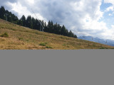 20220804_145737.jpg