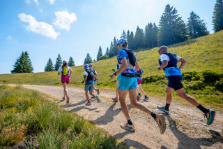 emma-exp-3-37-301120