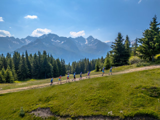 emma-exp-3-43-1-302670