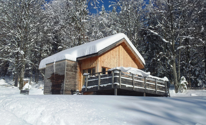 chalet_chartreuse_hiver.jpg