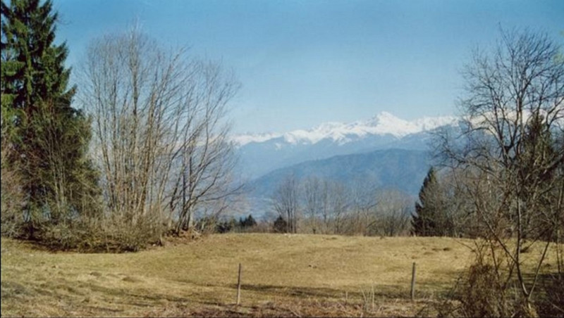 Vue