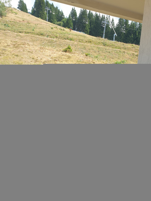 20220804_145800.jpg