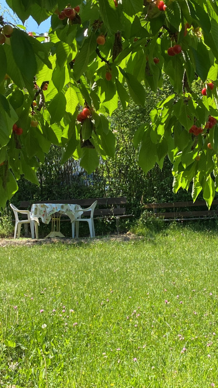 Jardin Jardin