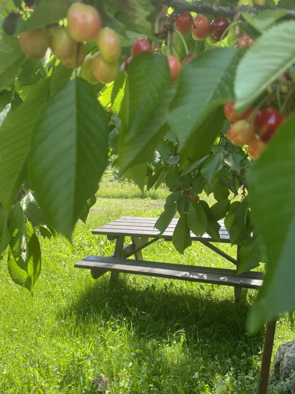 Jardin Jardin