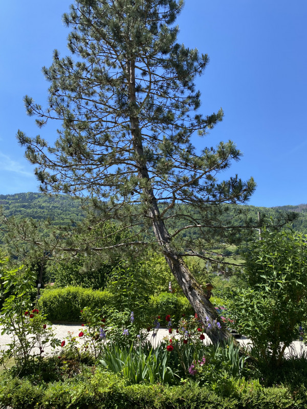 Parking villa SEBASTIEN Parking villa SEBASTIEN