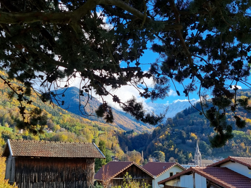 hortensia5.jpg hortensia5.jpg