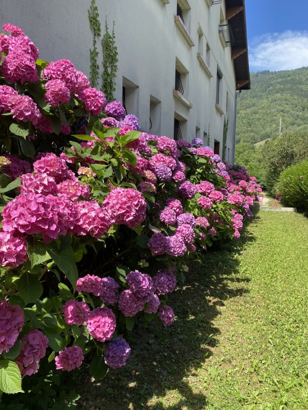 Jardin arrière Jardin arrière