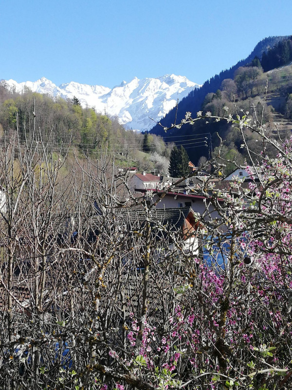 Vue extérieure - Appartement verte prairie