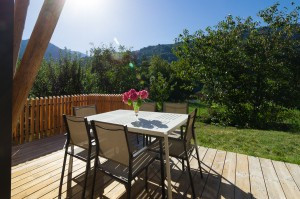 meli7_4736.jpg meli7_4736.jpg