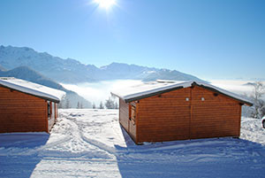 dsc_0319_4751.jpg dsc_0319_4751.jpg