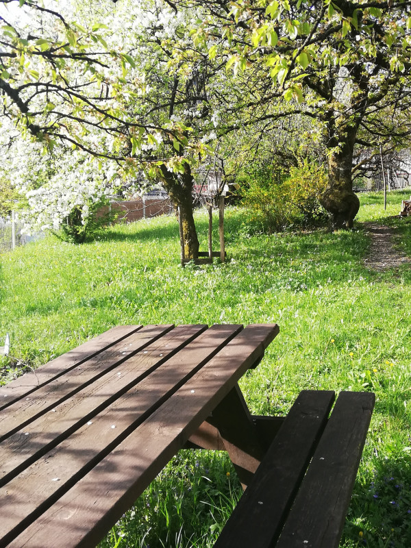 Jardin - Appartement verte prairie - © Vanotti Elisabeth Jardin - Appartement verte prairie