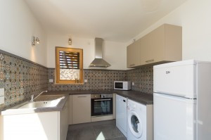 meli2_4732.jpg meli2_4732.jpg