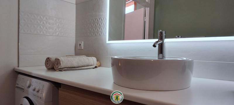 Salle de bain avec douche, WC et lave linge Salle de bain avec douche, WC et lave linge