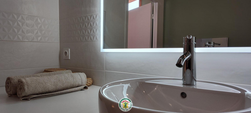 Salle de bain avec douche, WC et lave linge Salle de bain avec douche, WC et lave linge