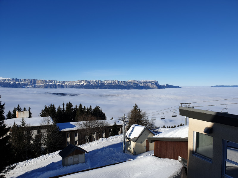 20211216_105619.jpg 20211216_105619.jpg