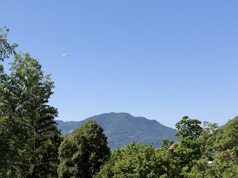 splendid_501_4.jpeg splendid_501_4.jpeg