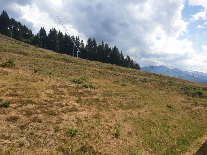 20220804_145737.jpg