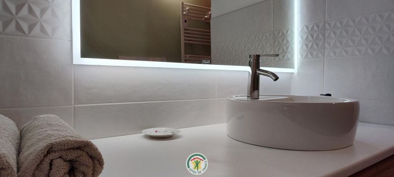 Salle de bain avec douche, WC et lave linge Salle de bain avec douche, WC et lave linge