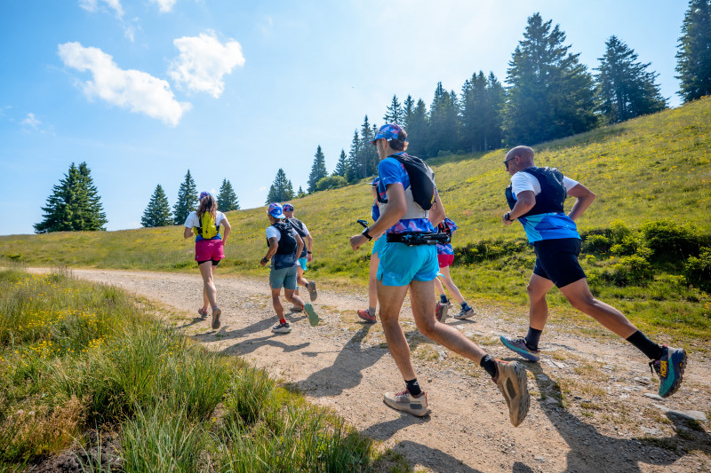 emma-exp-3-37-301120