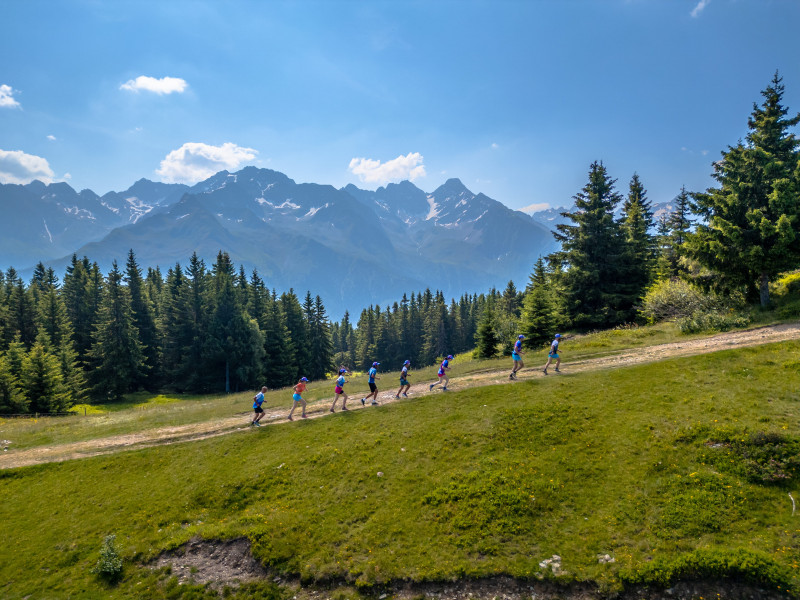 emma-exp-3-43-1-302670 emma-exp-3-43-1-302670